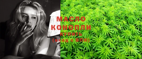 прущая мука Вяземский