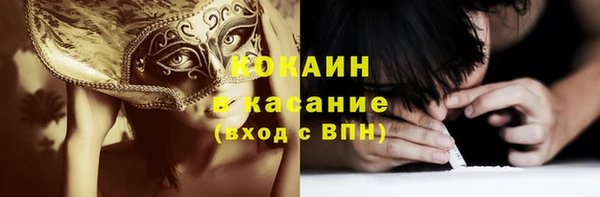 прущая мука Вяземский