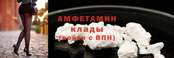 прущая мука Вяземский