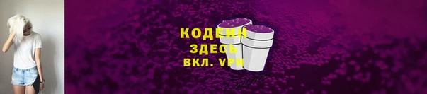прущая мука Вяземский