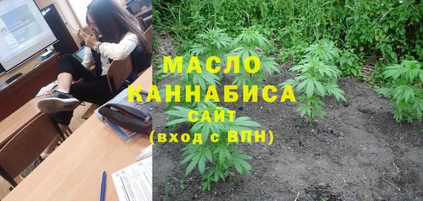 прущая мука Вяземский